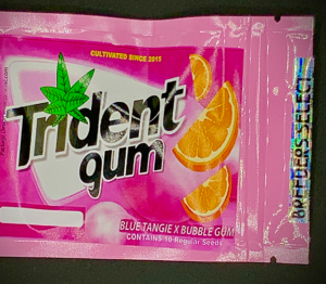 Trident Gum